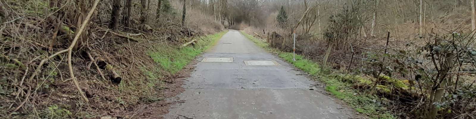 Bannière photo présentant l'ouvrage