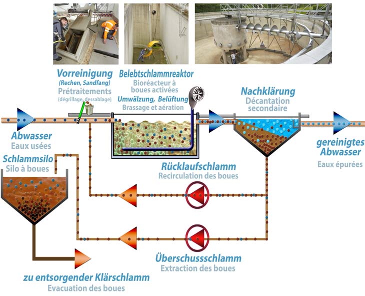 Schematische Darstellung einer biologischen Kläranlage