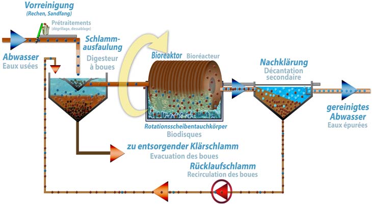 Schematische Darstellung