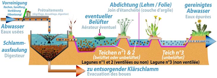 Schematische Darstellung