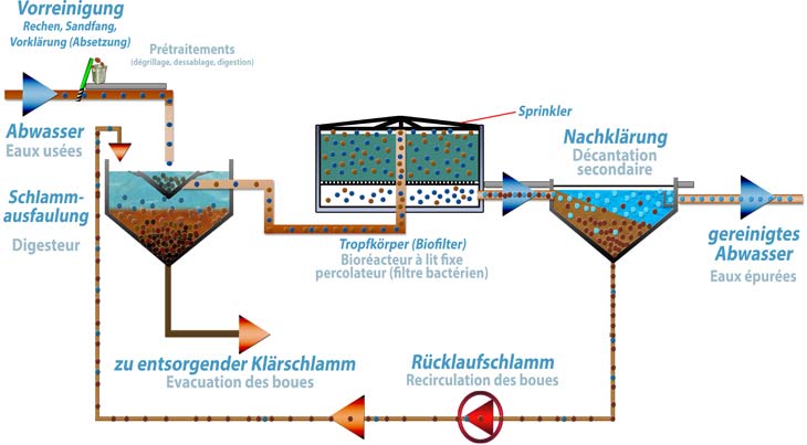 Schematische Darstellung